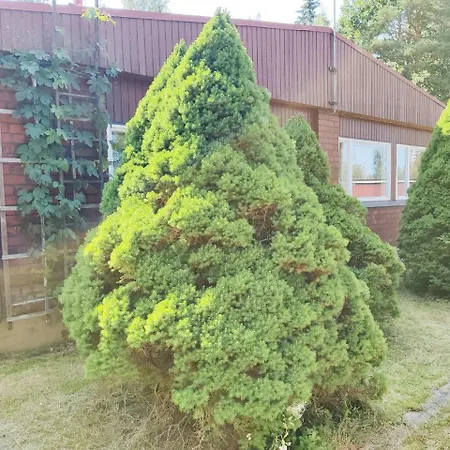 Reipas Saksala *